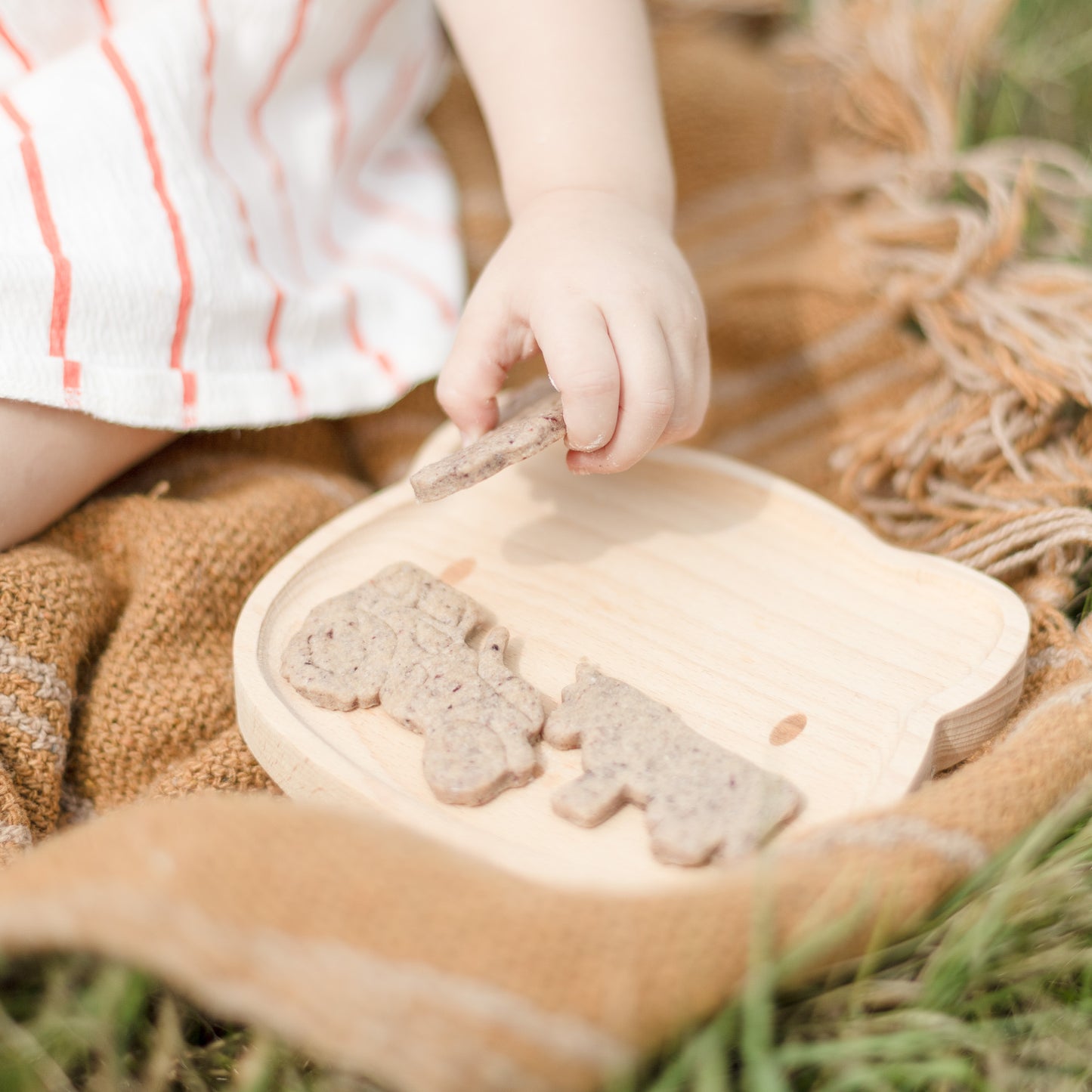 Organic Baking Mix Organic Blueberry Cookies for Children 